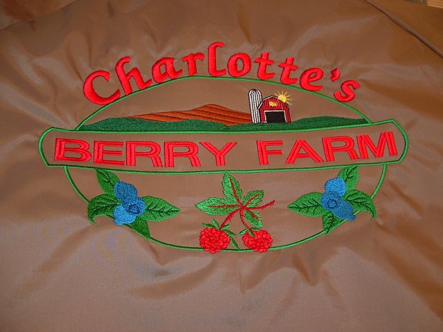 Charlotte's jacketback